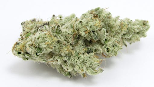 Cap Junky. Hybrid. (David Downs/Leafly)